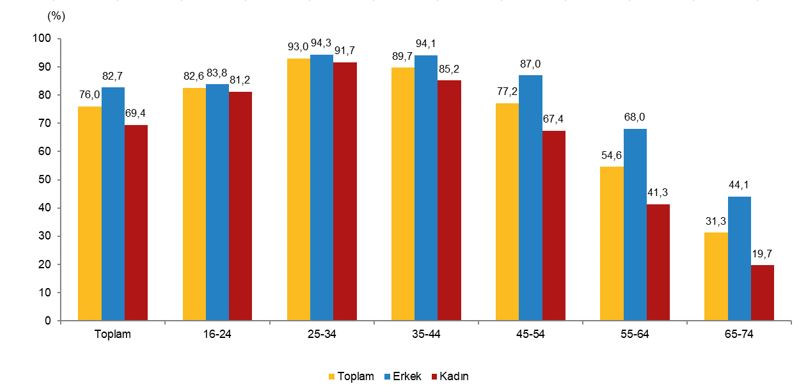 İnternet Kullanımında Yeni Rekor: 2026’da %92,3’e Ulaştı; E-Devlet ve E-Ticaret Verileri Güncellendi